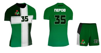 V0029